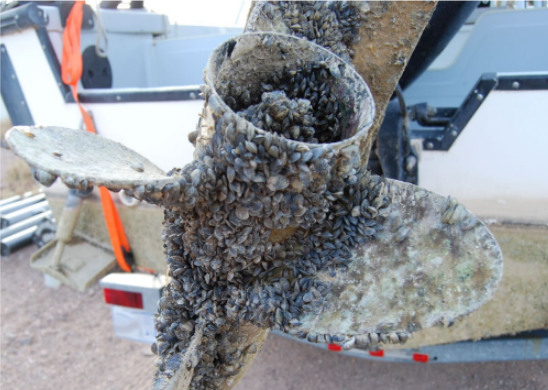boat corrosion